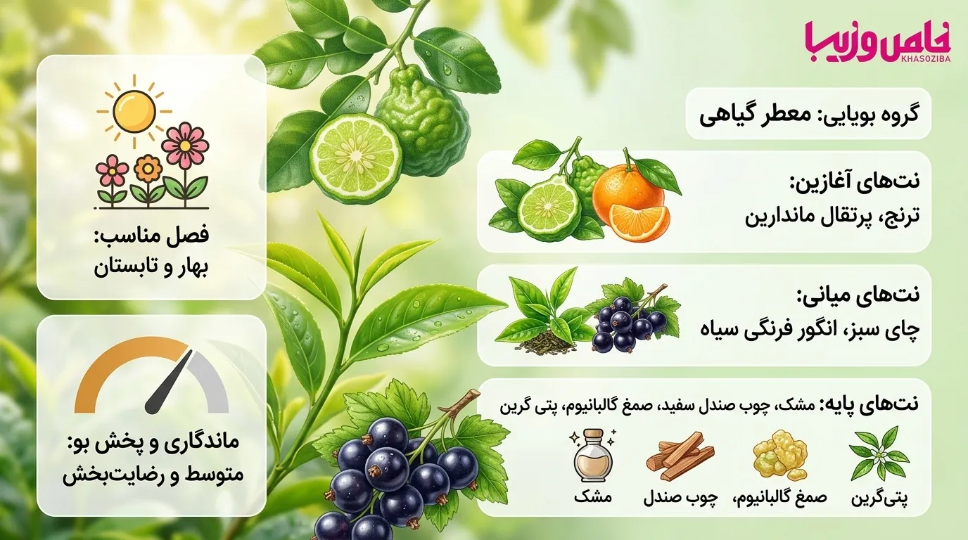 کرید سیلور مانتین واتر (Creed Silver Mountain Water)